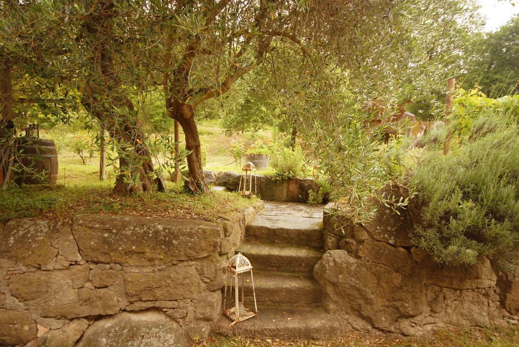 Vila Pieve Di Caminino Historic Farm Podere Caminino Exteriér fotografie