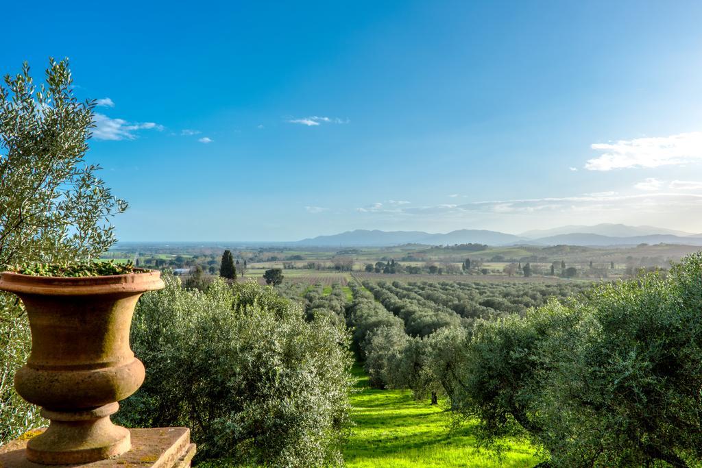 Vila Pieve Di Caminino Historic Farm Podere Caminino Exteriér fotografie